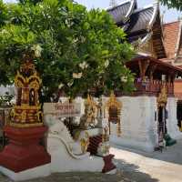 วัดธาตุคำ เชียงใหม่