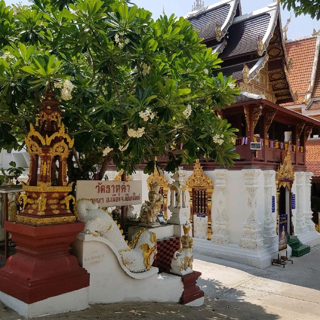 วัดธาตุคำ เชียงใหม่