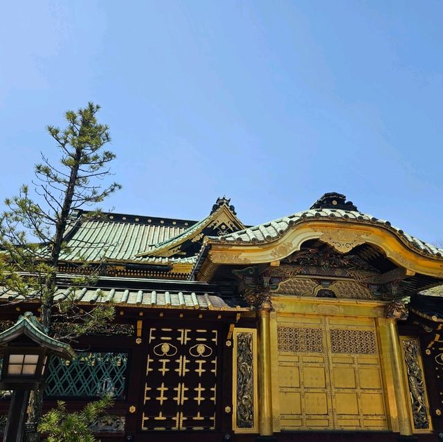 東京必到景點之上野恩賜公園