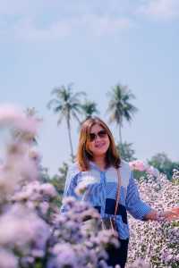 JP Farm Phitsanulok