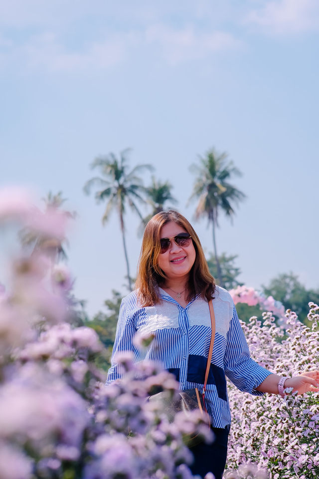 JP Farm Phitsanulok