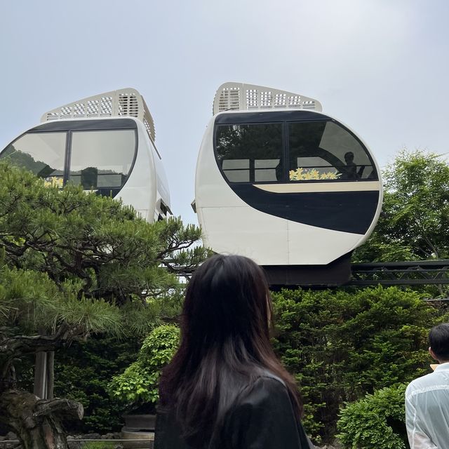 초록 초록 서울근교 힐링공간💚 화담숲🌿