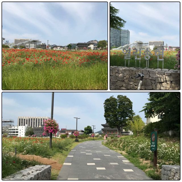 最新打卡景點📸❣️三清洞松峴綠地