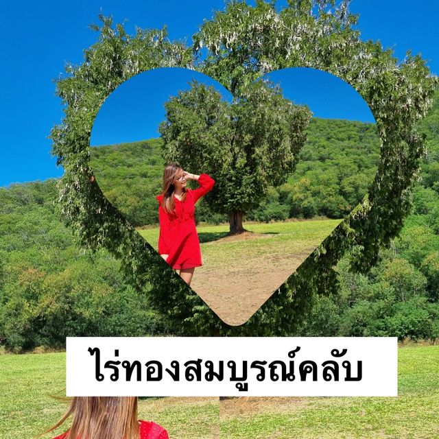 ไร่ทองสมบูรณ์ คลับ