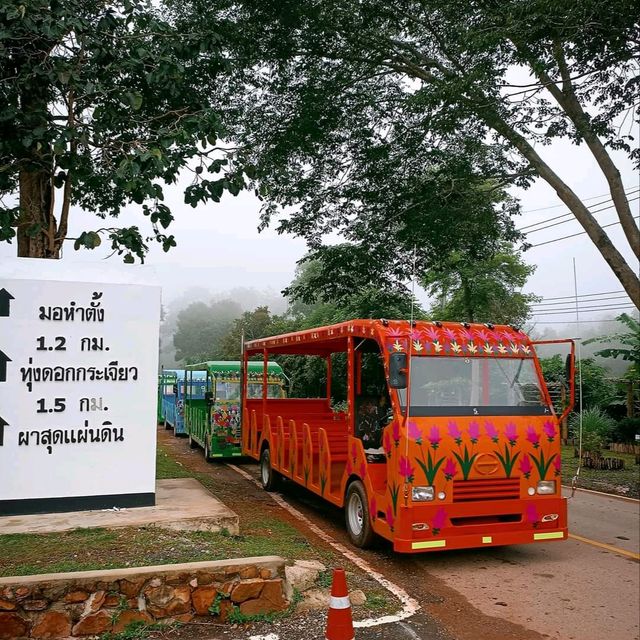 ผาสุดแผ่นดิน อุทยานแห่งชาติป่าหินงาม จ.ชัยภูมิ