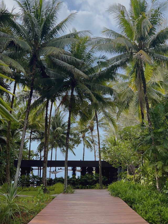 รร ที่ไม่ค่อยมีคนไทยรู้จัก ที่เขาหลัก 🥰 รร ที่ไม่ค่อยมีคนไทยรู้จัก ที่เขาหลัก 🥰