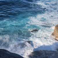 Whale watching, that is supposed to be the plan