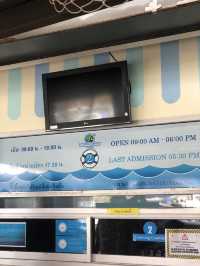 โลกใต้ทะเลที่พัทยา🐳🐋🐬