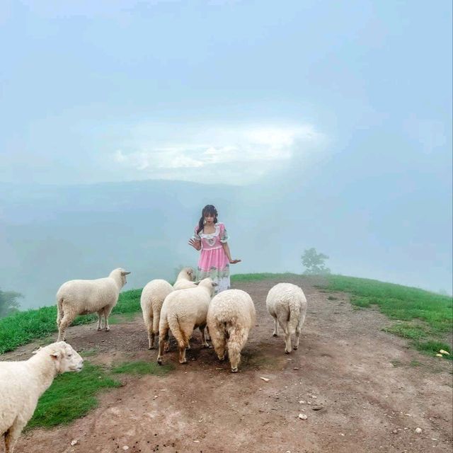 Akha Framville🐑🌳🍃