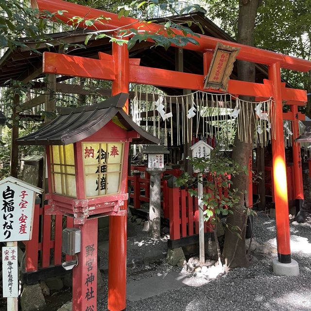 【京都府】美しい緑の絨毯、じゅうたん苔！