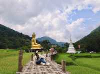 สักการะพระเจ้าต๋นหลวงกลางทุ่งนา @วัดนาคูหา จ.แพร่