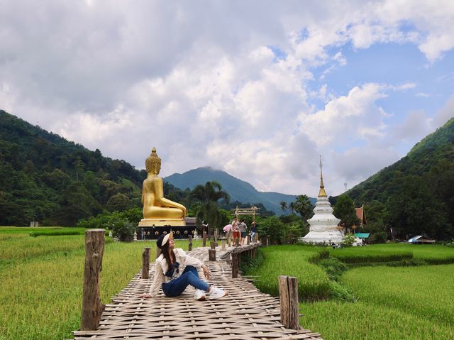 สักการะพระเจ้าต๋นหลวงกลางทุ่งนา @วัดนาคูหา จ.แพร่