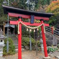 新晉網紅景點「新倉山淺間公園」