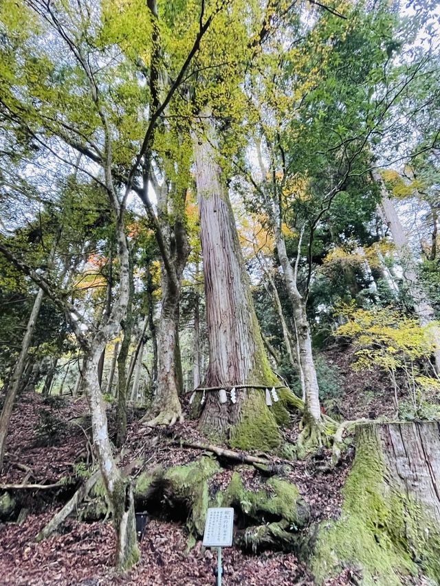 【京都府/貴船神社（奥宮）】龍穴のパワー渦巻く！
