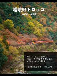 【京都】日本屈指の紅葉スポット！絶景7選