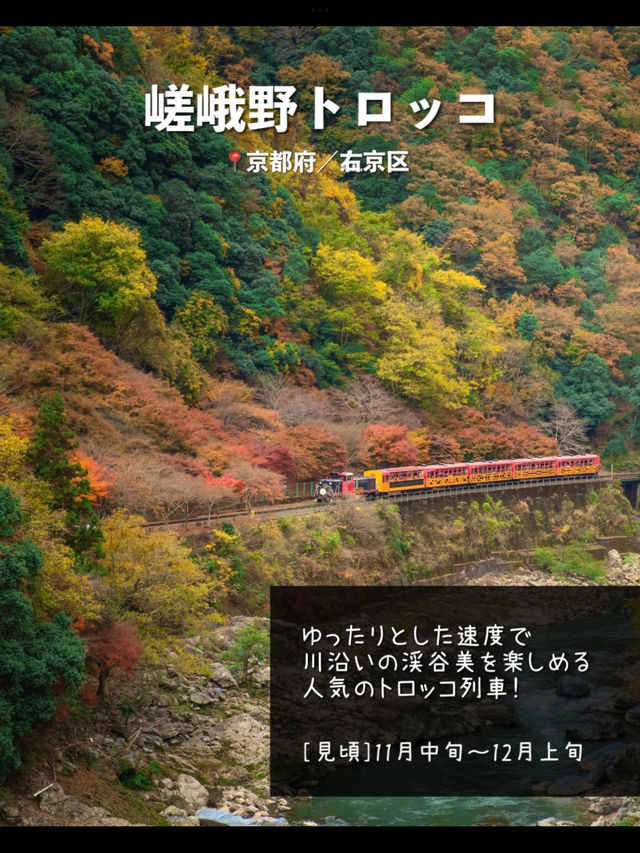 【京都】日本屈指の紅葉スポット！絶景7選