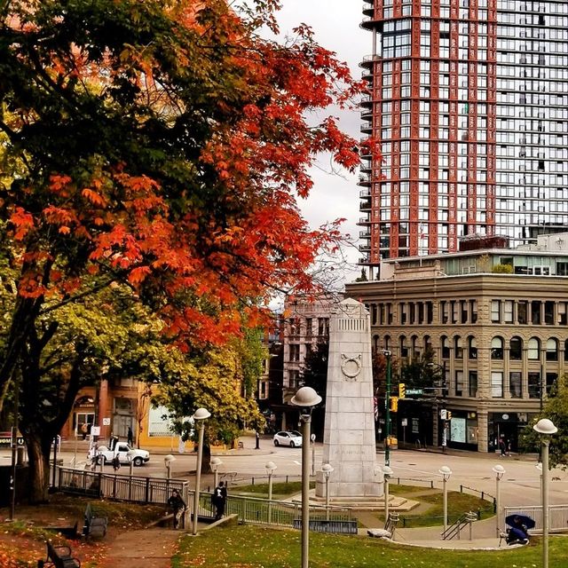 Fall in Vancouver is spectacular 🍁🍁