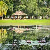 Taiping Lake Gardens