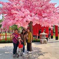 Hinoki Land ฮิโนกิแลนด์ เชียงใหม่