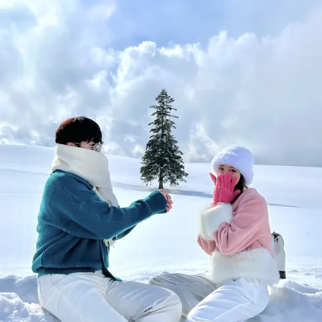 CG같은 풍경을 볼 수 있는 삿포로 필수 코스 비에이투어 🌲