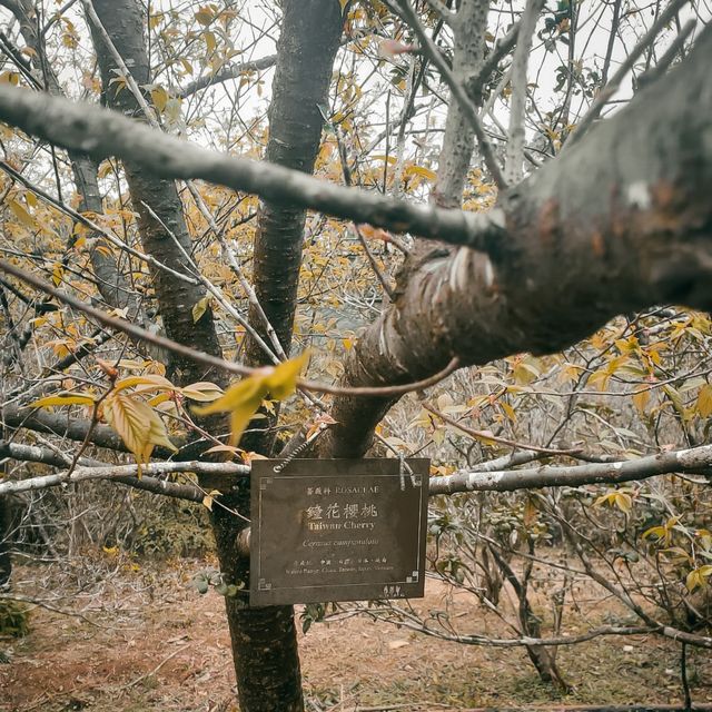 嘉道理農場暨植物園