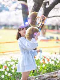 지금 가면 꽃비와 튤립을 만날 수 있는 ‘연지공원’