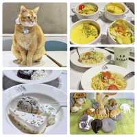 高質😋抵食🐈貓Cafe