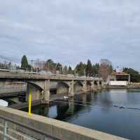 The Famous Ballard Locks, Seattle