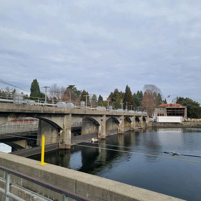 The Famous Ballard Locks, Seattle