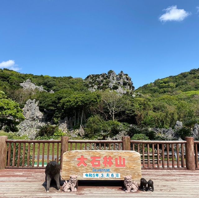 【沖縄県】やんばる世界自然遺産　大石林山！