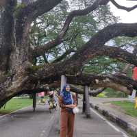 ATTRACTIONS IN PERAK!