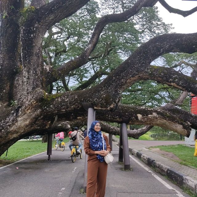 ATTRACTIONS IN PERAK!