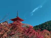 วัดคิโยะมิซุ 清水寺 หรือวัดน้ำใส 🍁⛩️