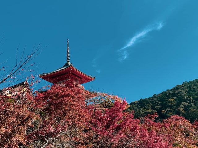 วัดคิโยะมิซุ 清水寺 หรือวัดน้ำใส 🍁⛩️