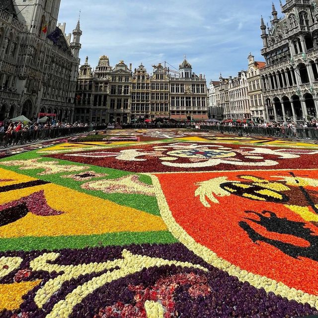 BRUSSELS, BELGIUM🇧🇪 (Flower Carpet)