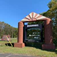 【北海道】釧路湿原で雄大な自然を感じよう！