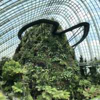【シンガポール】近未来植物園ガーデンバイザベイ