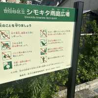 【下北沢】雨庭広場でひと休み