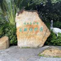 【城市中的巨大綠洲：深圳灣公園】