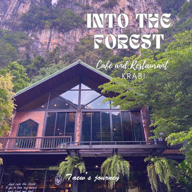 Into the Forest Krabi
