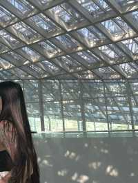 台南美術館二館💙天空公園咖啡廳