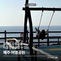 동해의 수평선을  맘껏 구경할 수 있는 🌊 제주 어영공원