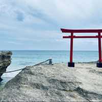 追尋神秘！白浜神社的神聖之境！⛩️🌊🙏
