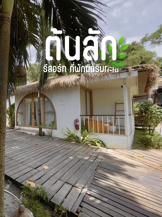 ต้นสักรีสอร์ท