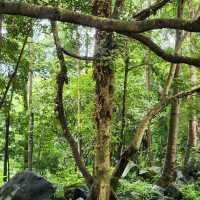 Phu Cuong waterfall