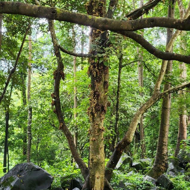 Phu Cuong waterfall