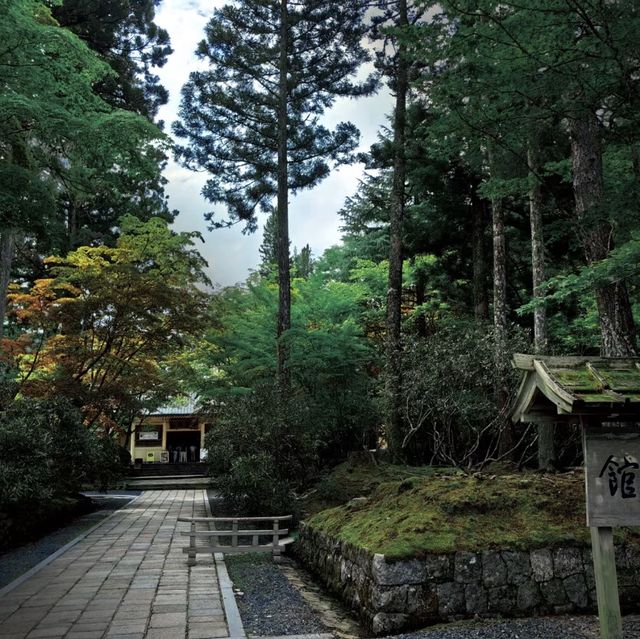 靈巖靜修！⛩️🧘 高野山