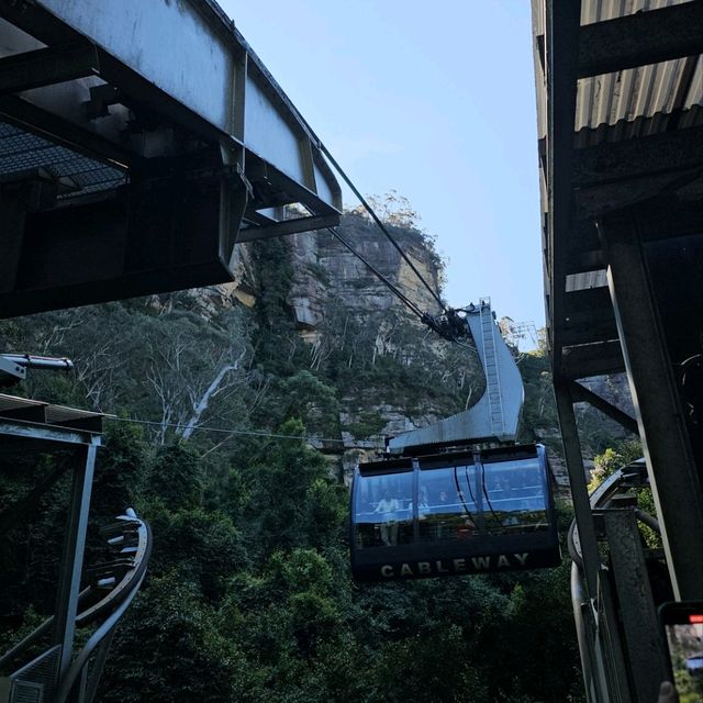 三種不同的纜車，欣賞藍山國家公園的美麗景觀🏔