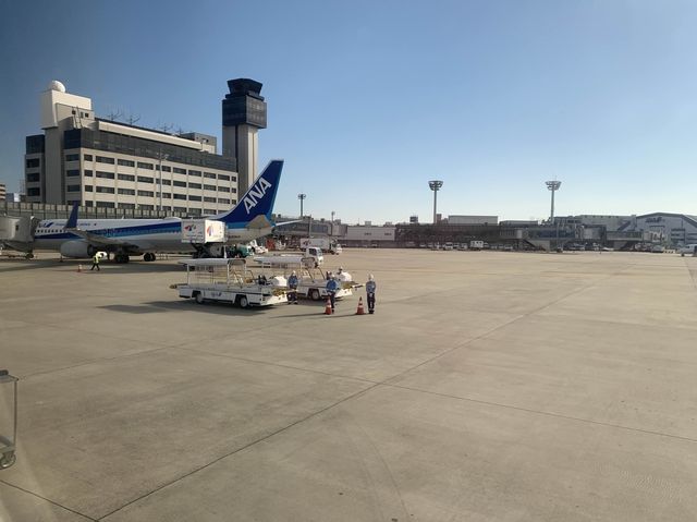 大阪　大阪観光　新千歳空港から伊丹空港へANA premium classでフライトしてきた！