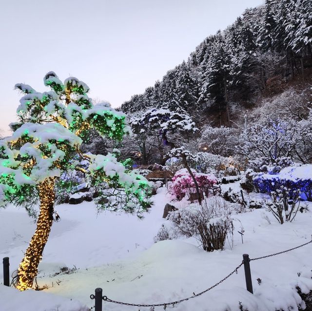 사계절이 예쁜 아침고요수목원🏞️